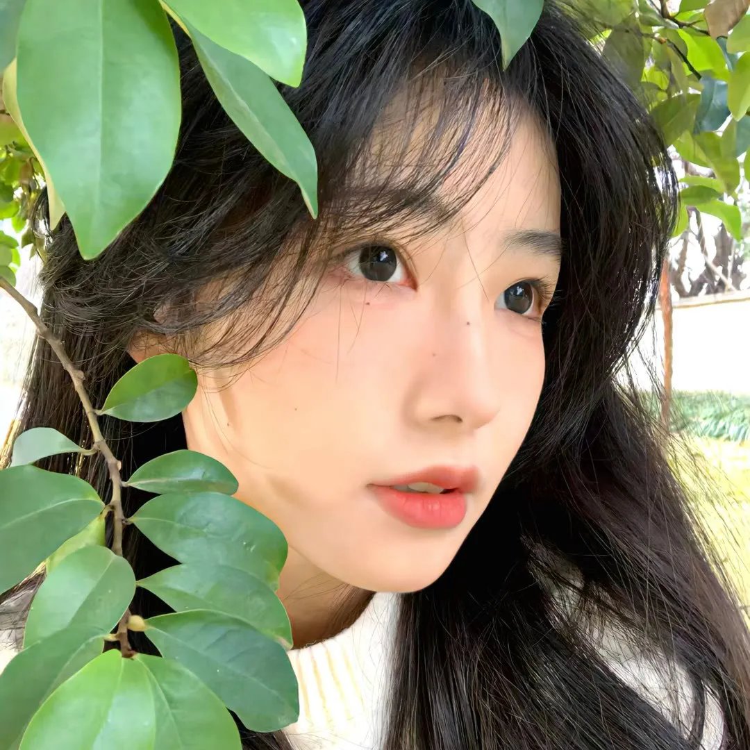 笑笑茶楼第一季